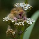 Даша Зінич фотография #33 (источник - https://vk.com/id147036851)