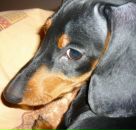 Фотография Ивановой Александры