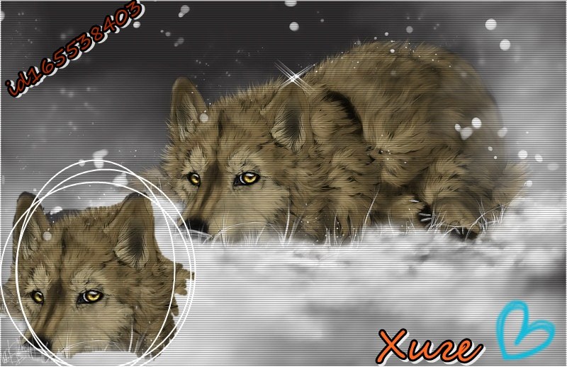 Хиге Wolf фотография #31